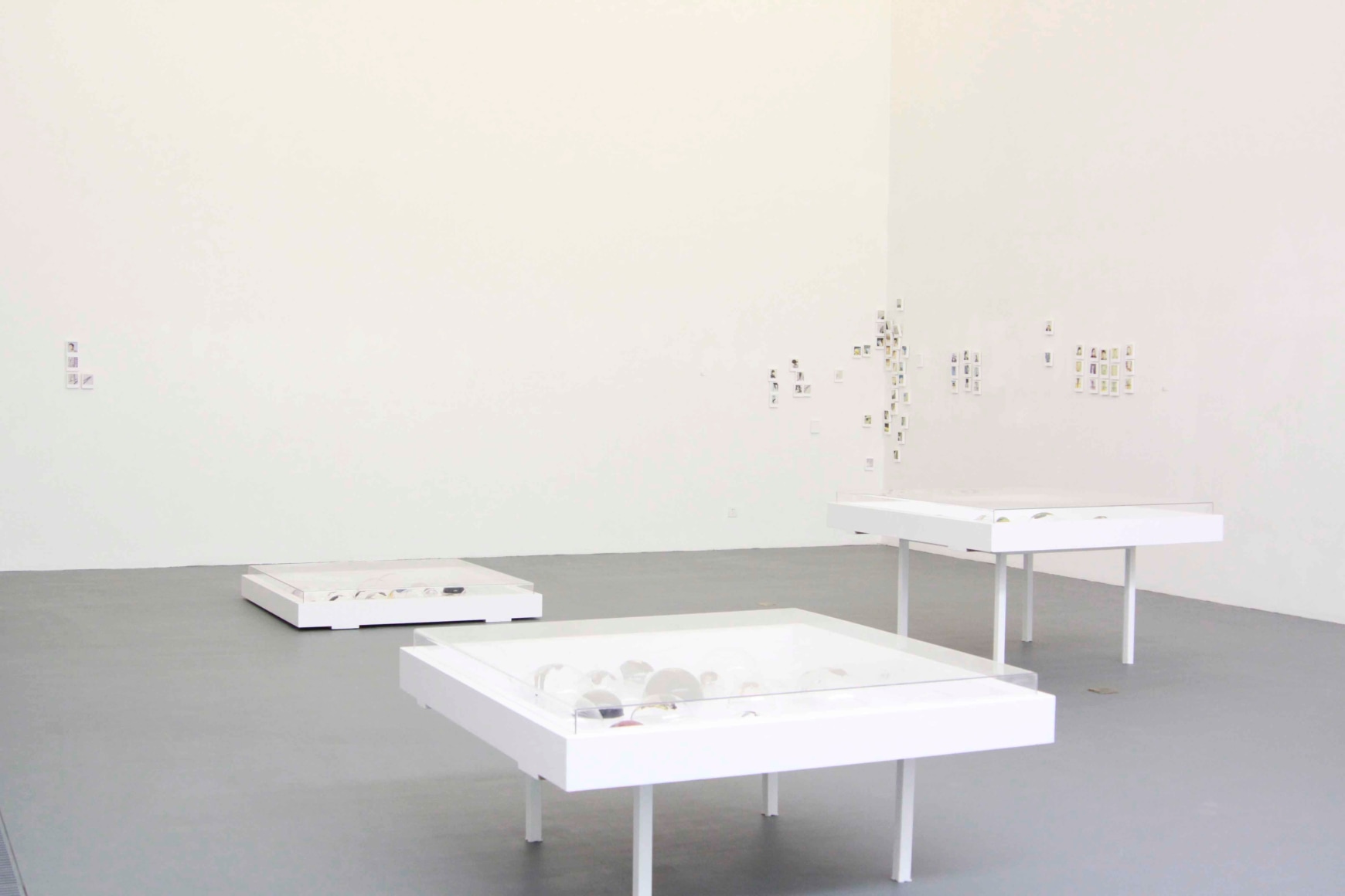 CO 2008, Installation view