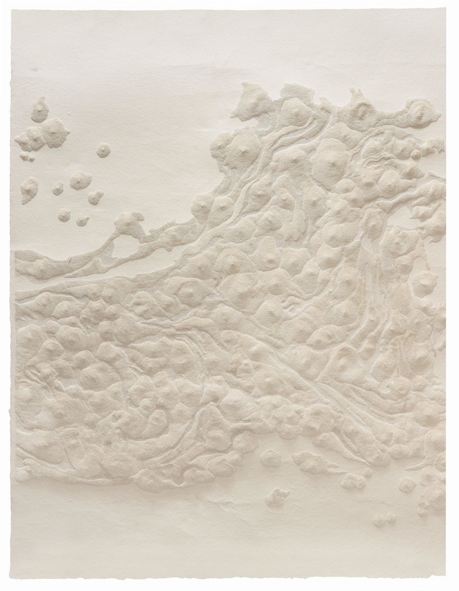 Fu Xiaotong 付小桐 (b.1976)