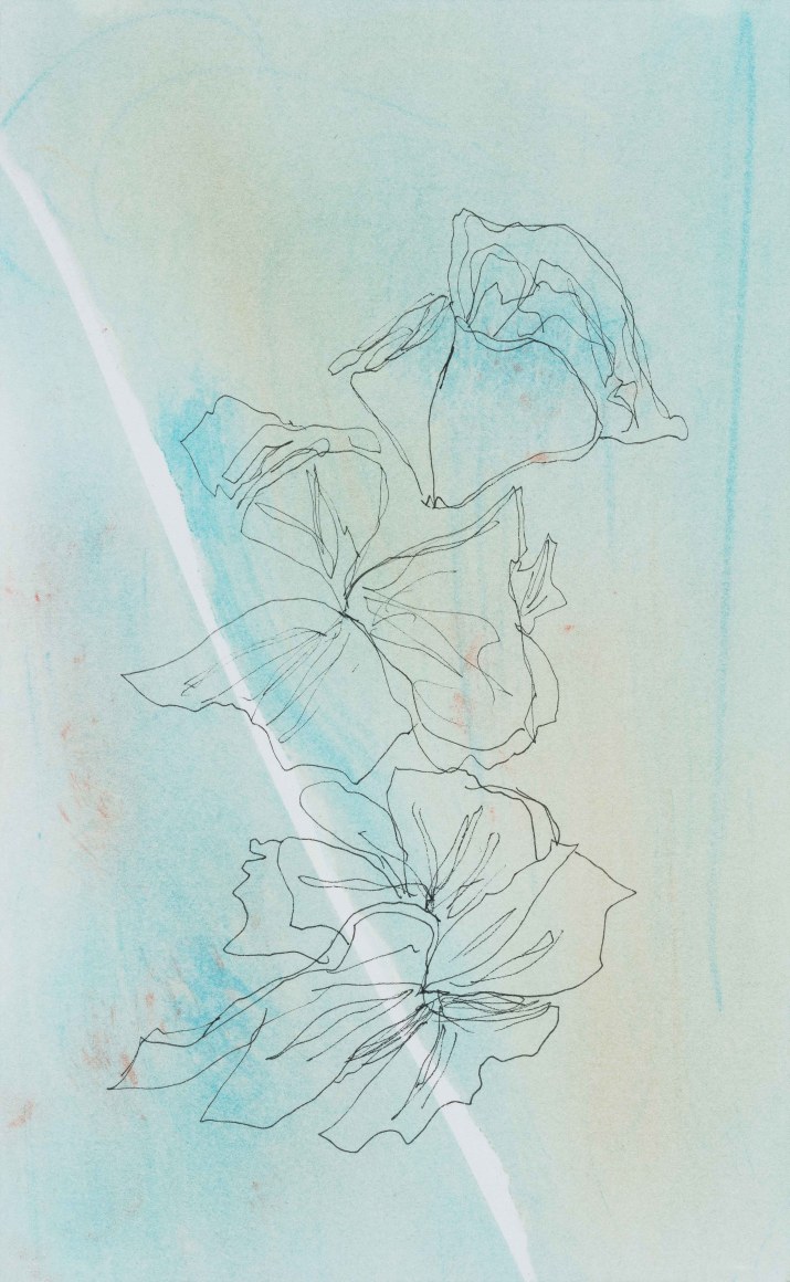 Mary Simpson, Garden of Letters信笺花园