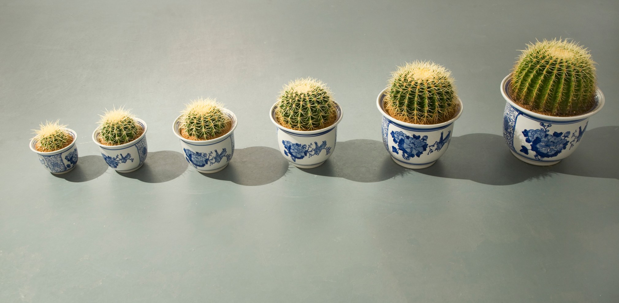 Things: Recent Works by Guo Hongwei, Installation view