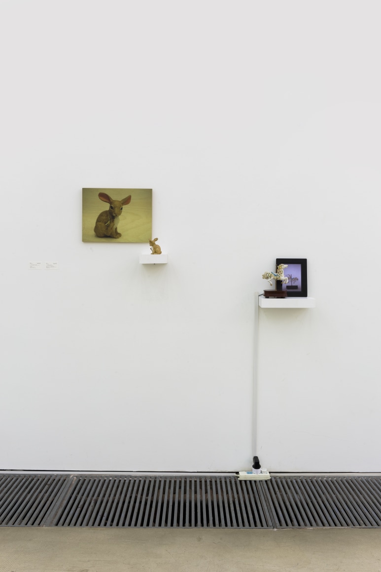 Lam Tung-pang: Fragmentation&nbsp;​Installation view