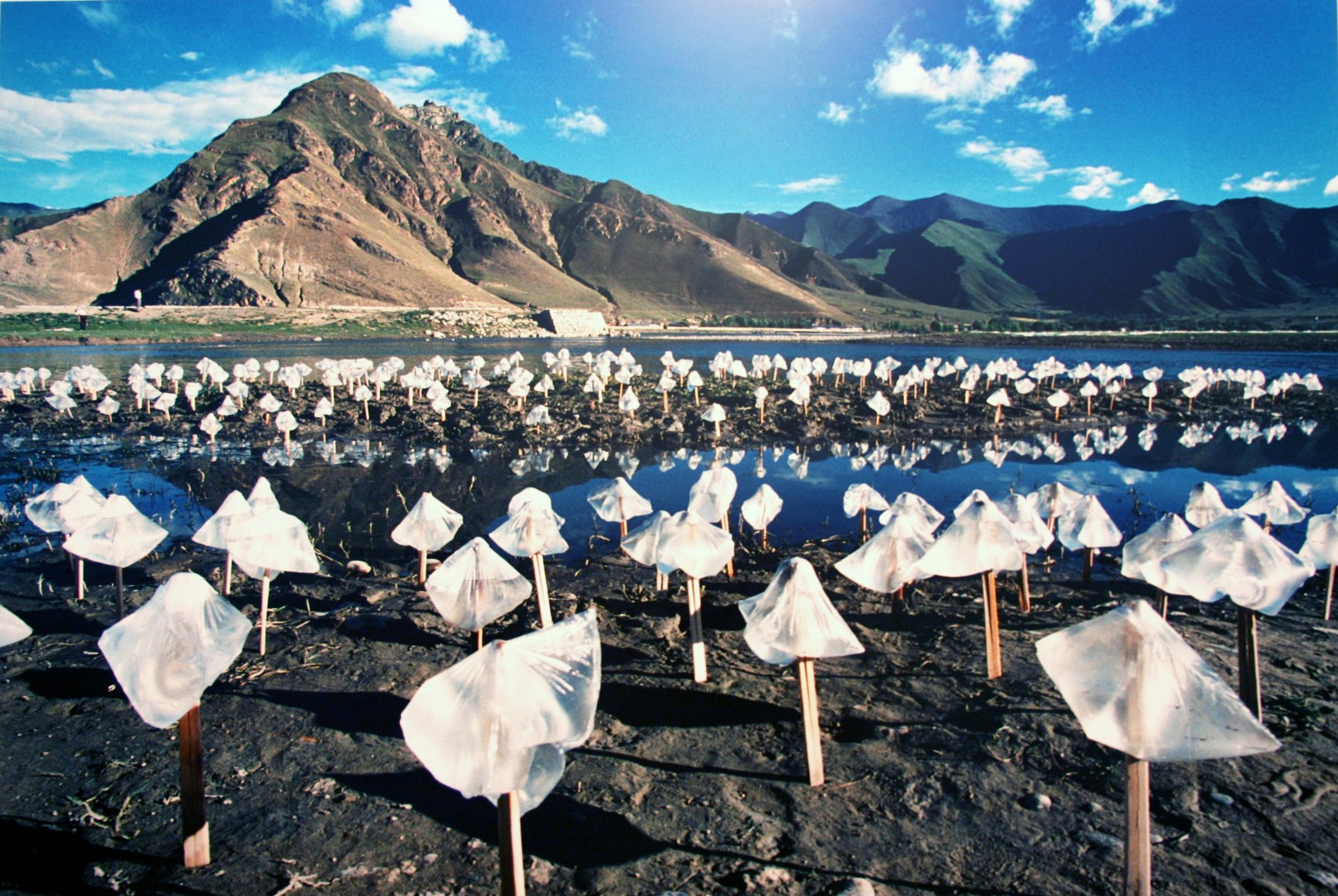 Living Water&nbsp;活水, 1996