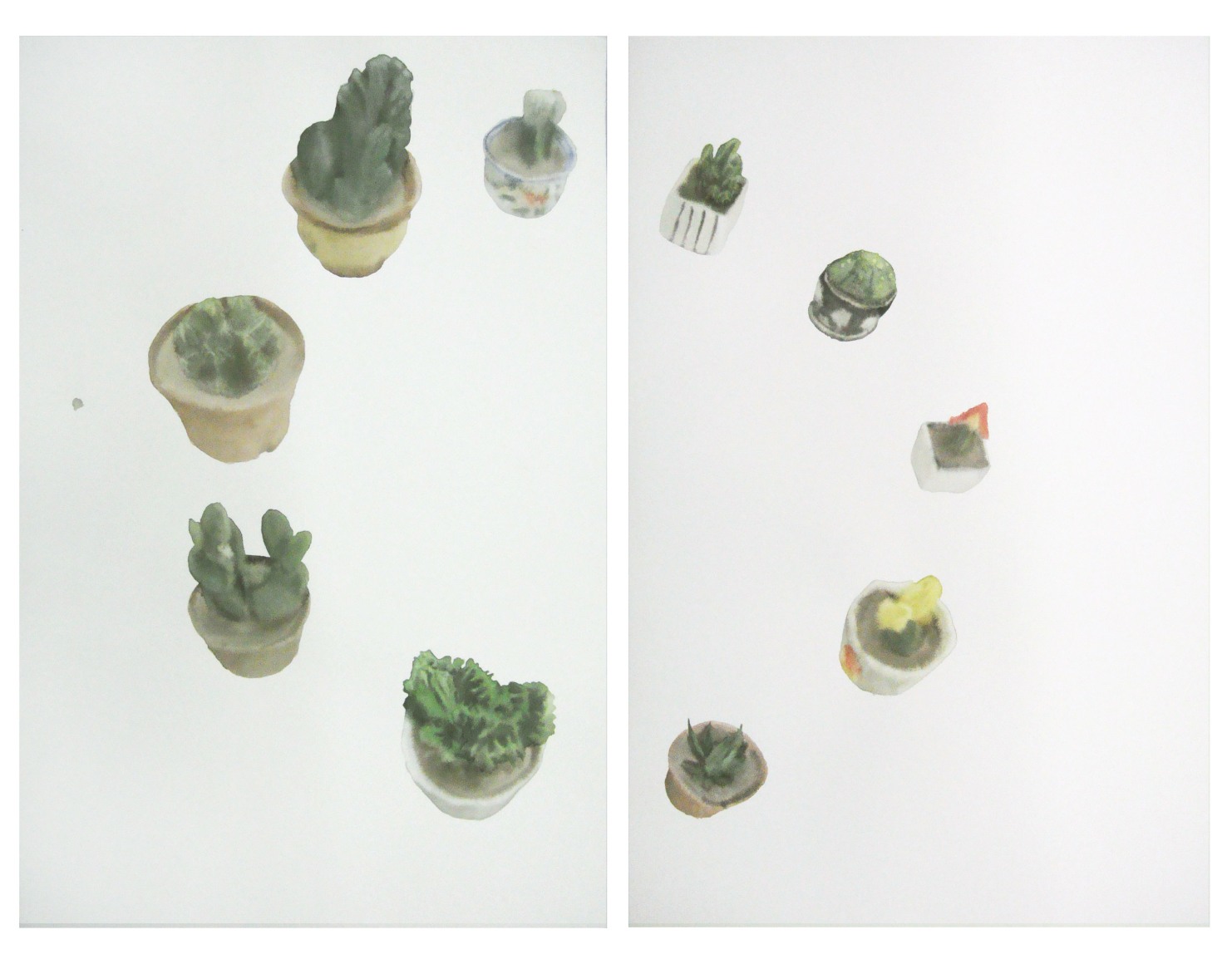 Cactus No. 4&nbsp;仙人掌4a, 2009