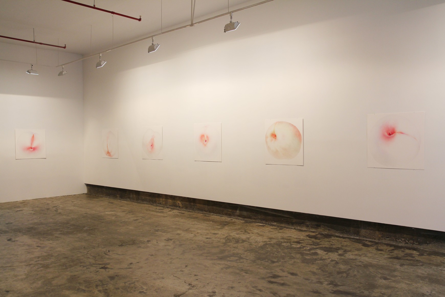 New WorksInstallation view