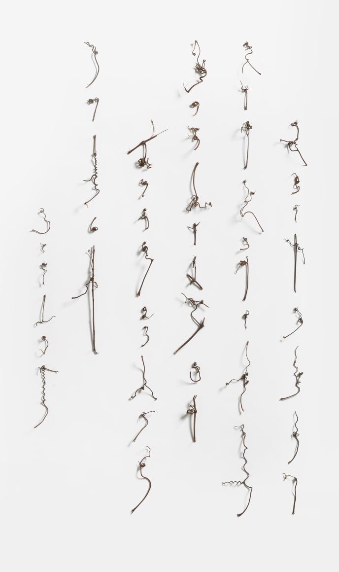 Cui Fei 崔斐 (b. 1970), Manuscript of Nature V_006 5 自然的手稿之五(006) 5