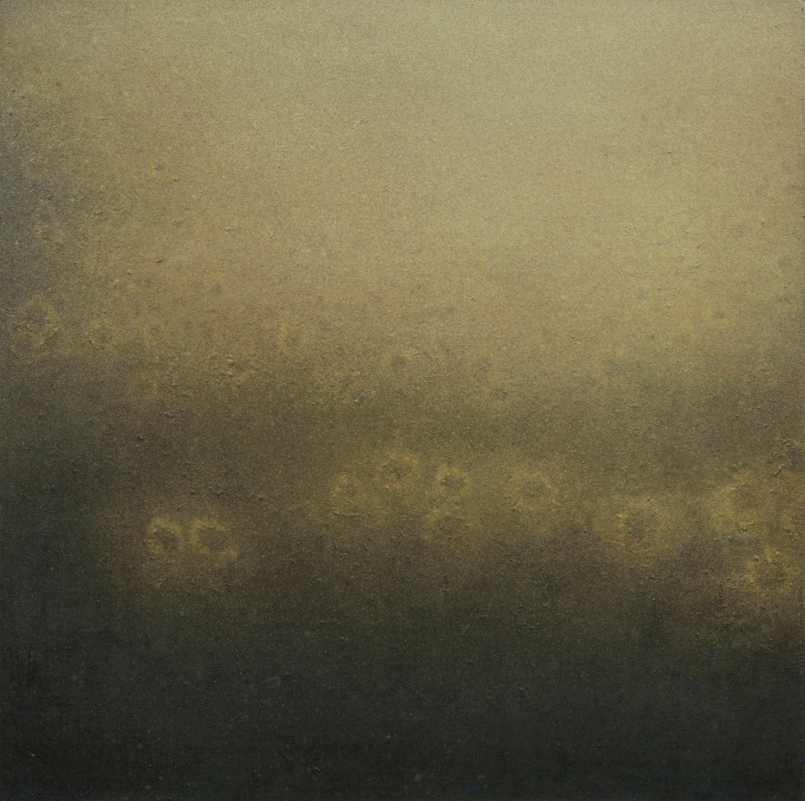 Sunflower Sea 葵海, 2012