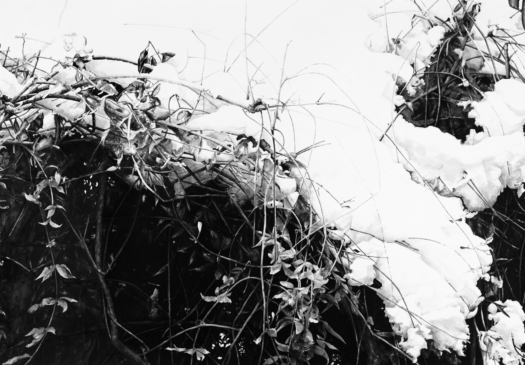 Auspicious Snow 19-2 瑞雪19-2