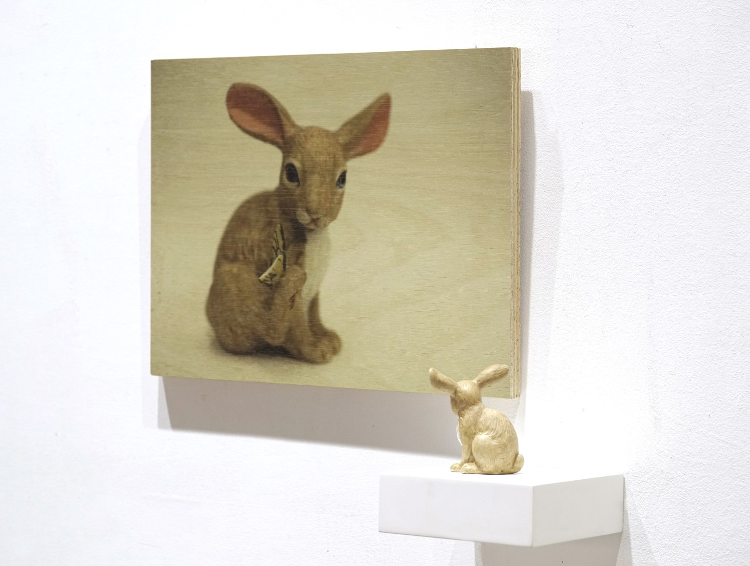 A set of ceramics from The Curiosity Box《好奇盒里一些陶瓷纪念品》, 2013
