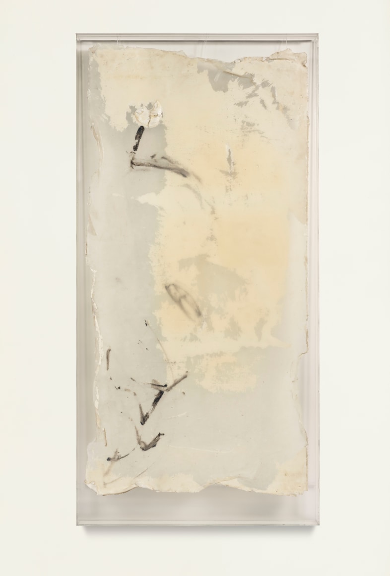 Shang Yang 尚扬 (b. 1942)