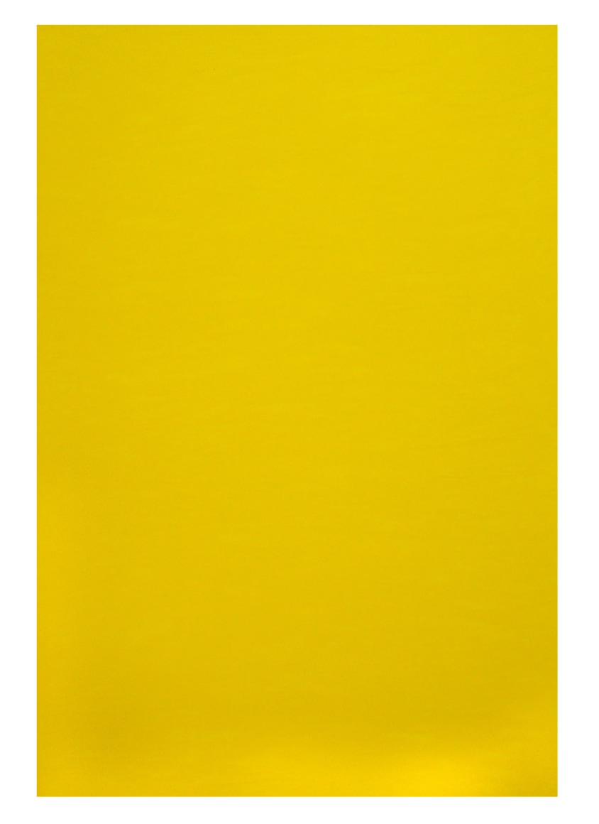 Jenny Perlin R & F Cadmium Yellow
