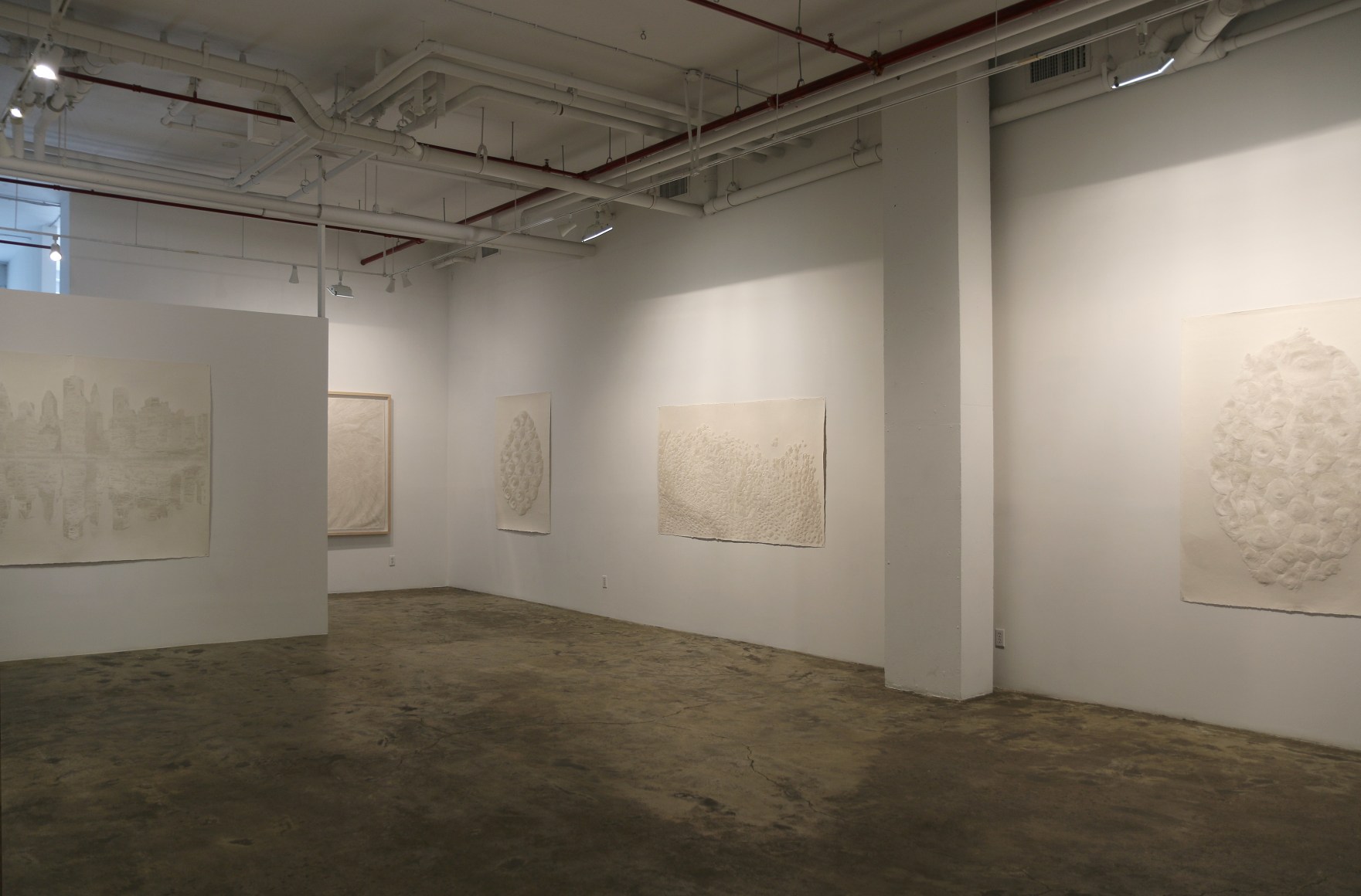 付小桐：蔓延- Fu Xiaotong - 展览- Chambers Fine Art