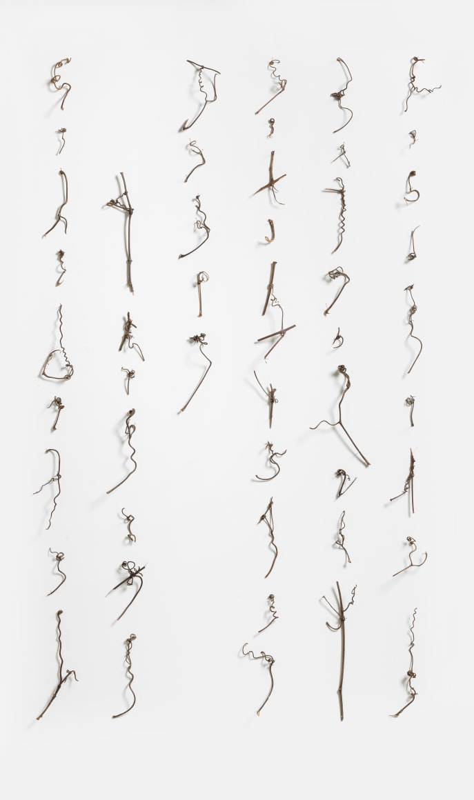 Cui Fei  Manuscript of Nature V_006 4自然的手稿之五 (006)4