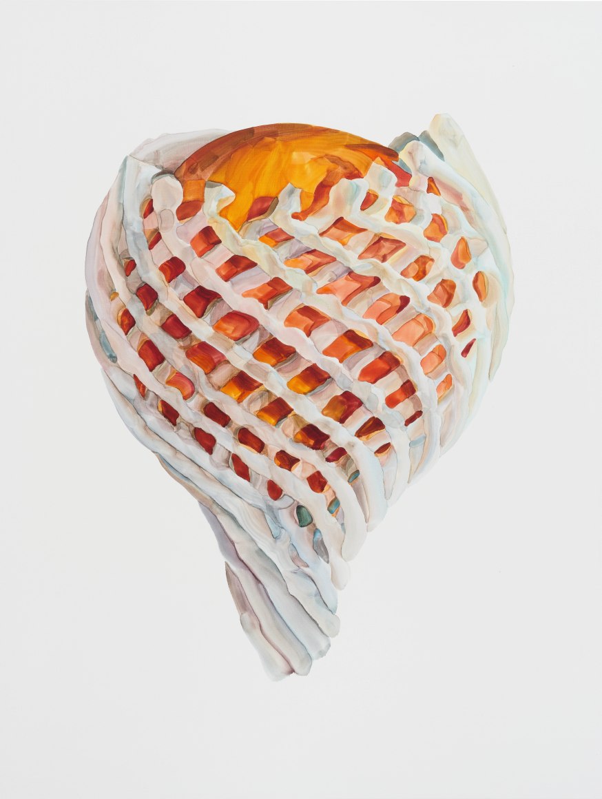 Orange in Snow No.2 雪中橙 No.2