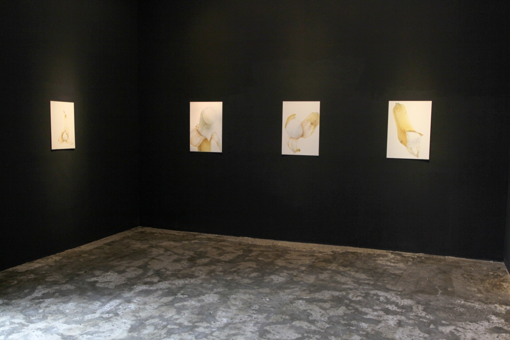 New WorksInstallation view
