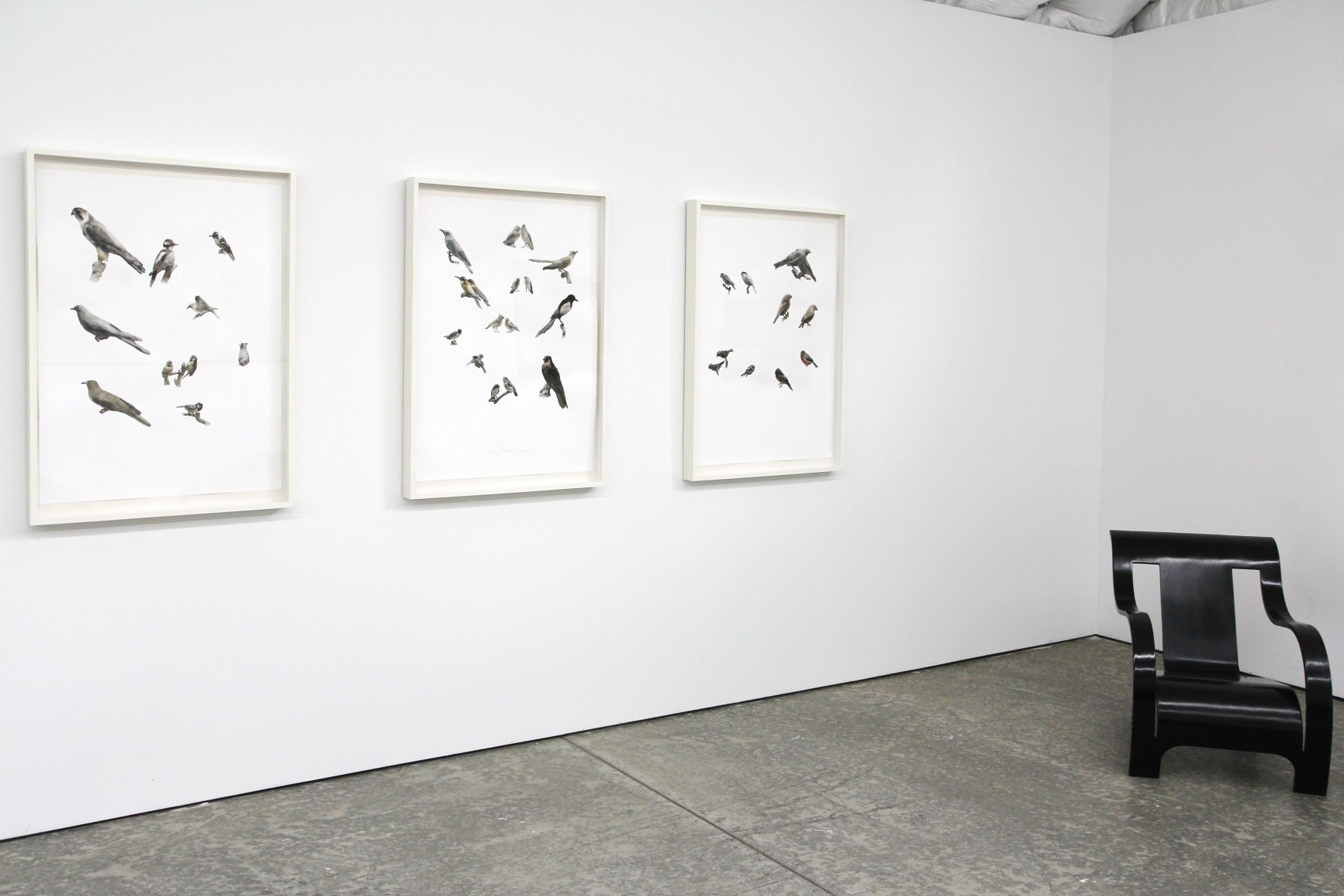 ObservationsInstallation view
