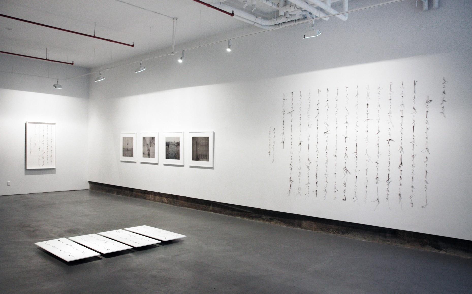 Origins:&nbsp;Cui Fei and Taca SuiInstallation view