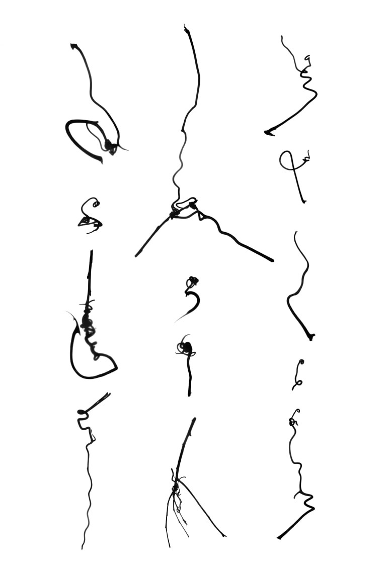Tracing the Origin IX_I_i 溯源之九(一), 2012