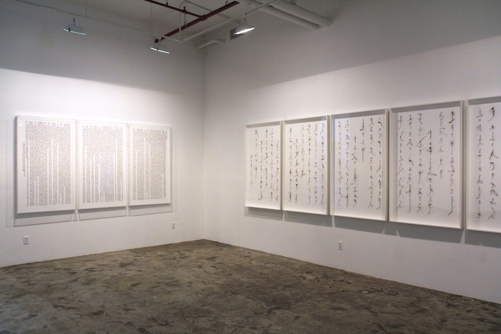 Cui Fei: Tracing the OriginInstallation view