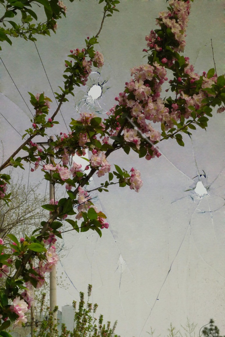 March - He Garden 三月的片石山房