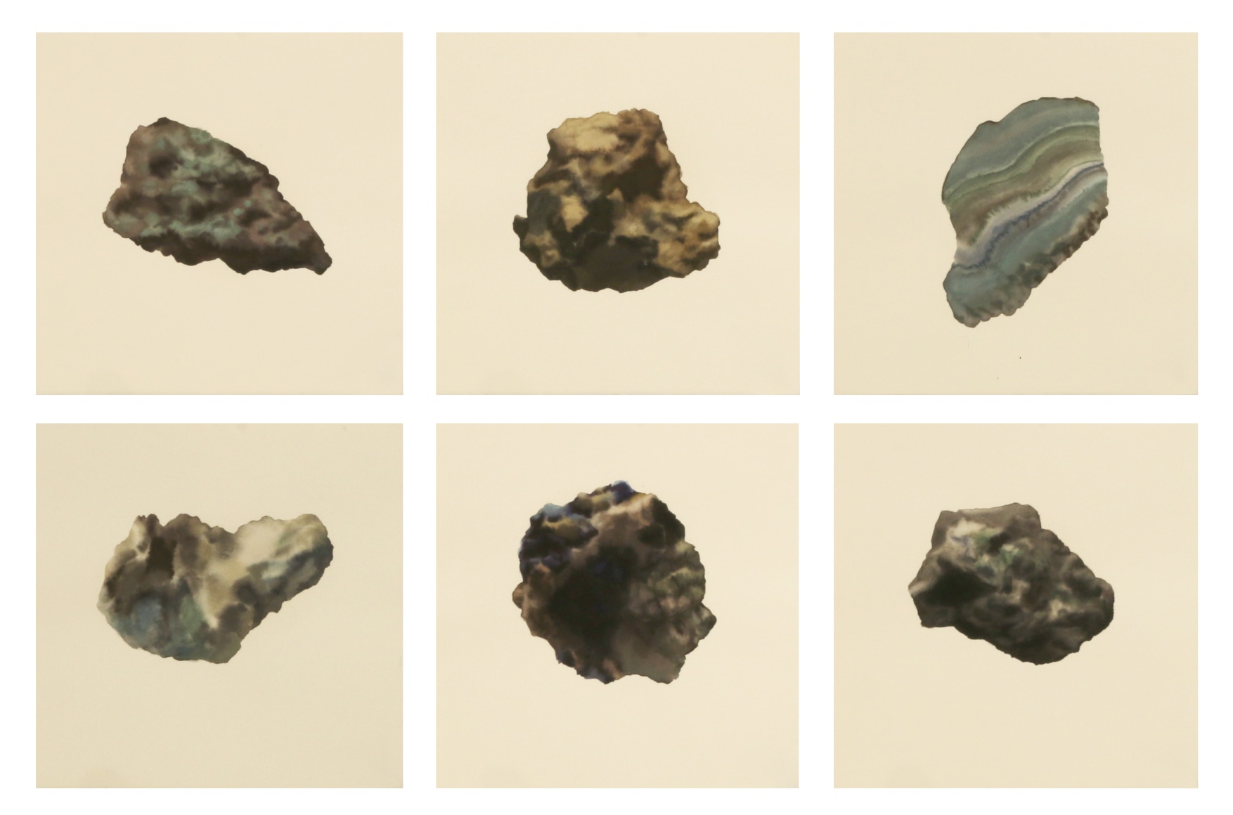 The Illustration Book of Natural Form No.11 自然形式之图集 No.11