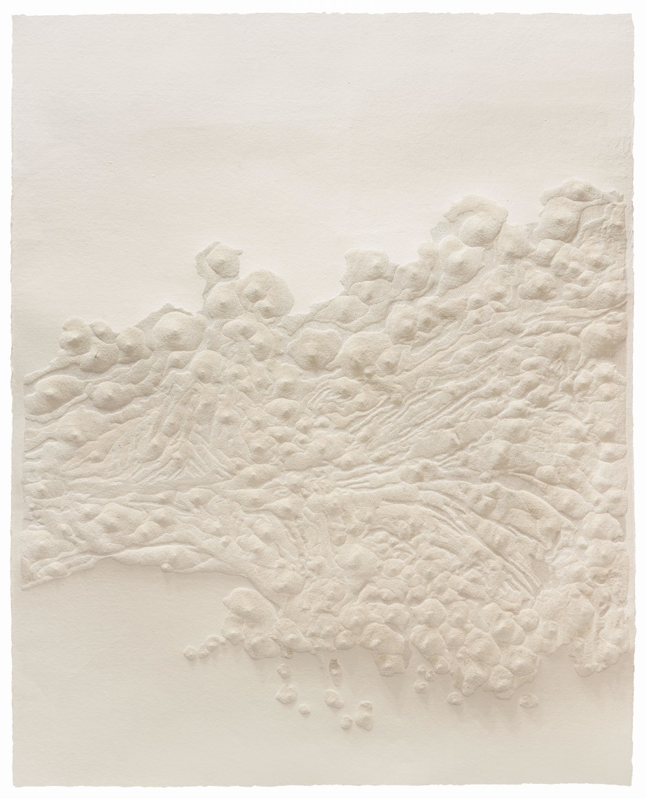 Fu Xiaotong 付小桐 (b.1976)