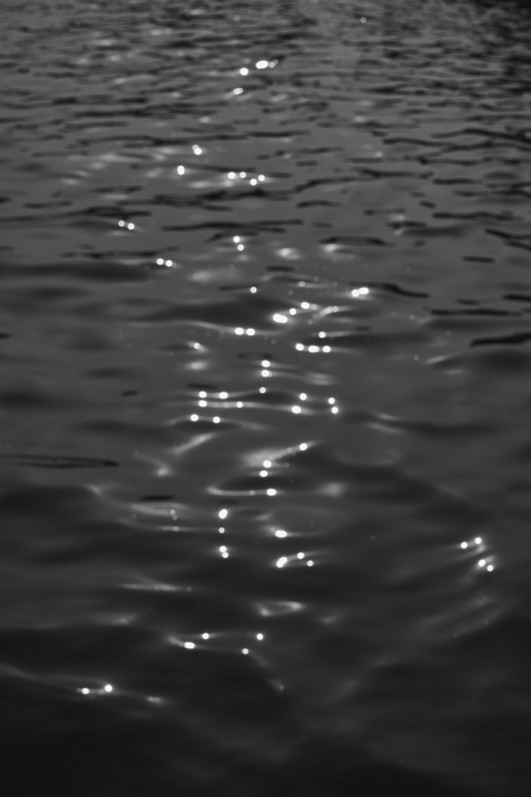 Daming Lake 大明湖