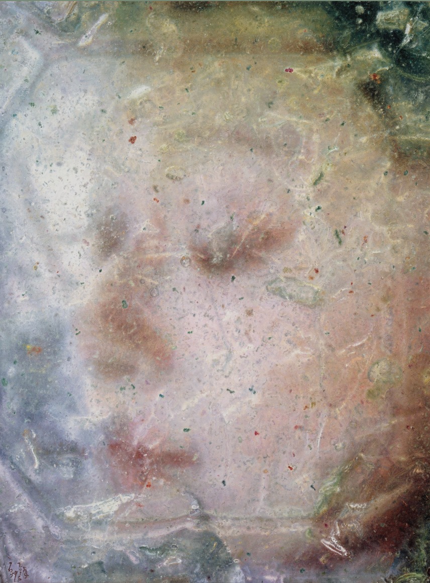 Expression IV&nbsp;表情之四 2016