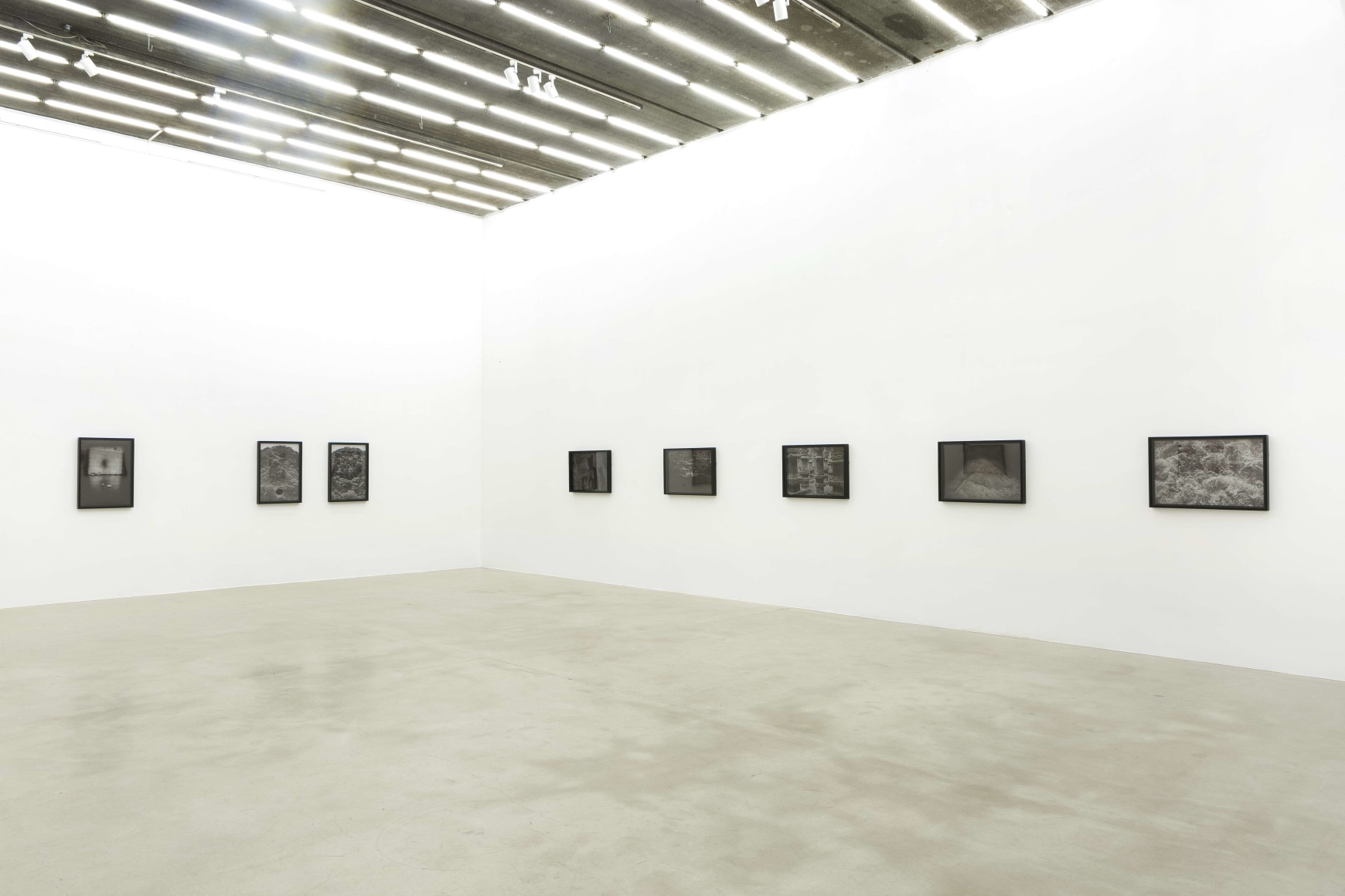Steles &ndash; Huang Yi ProjectInstallation view