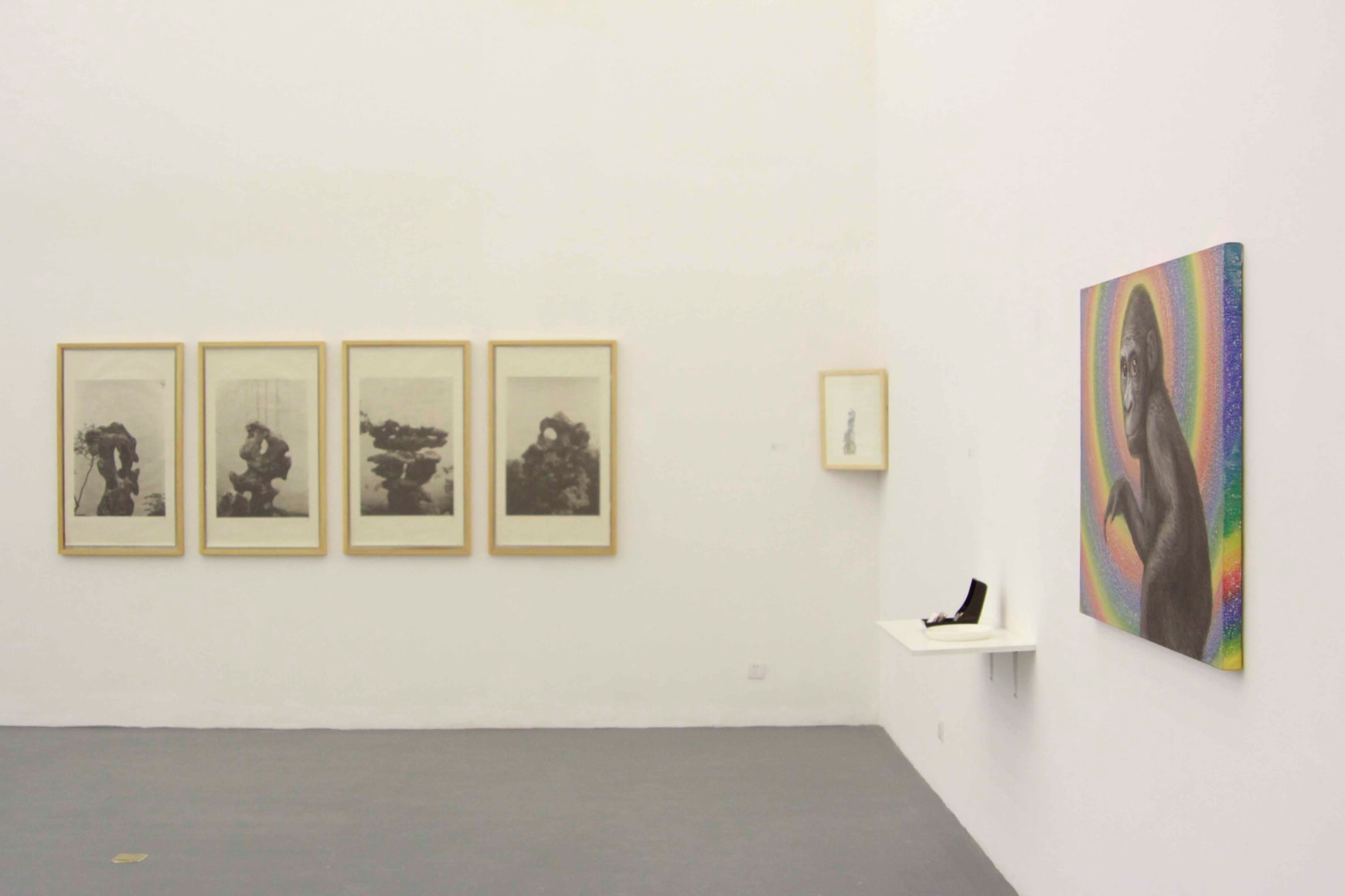 CO 2008, Installation view