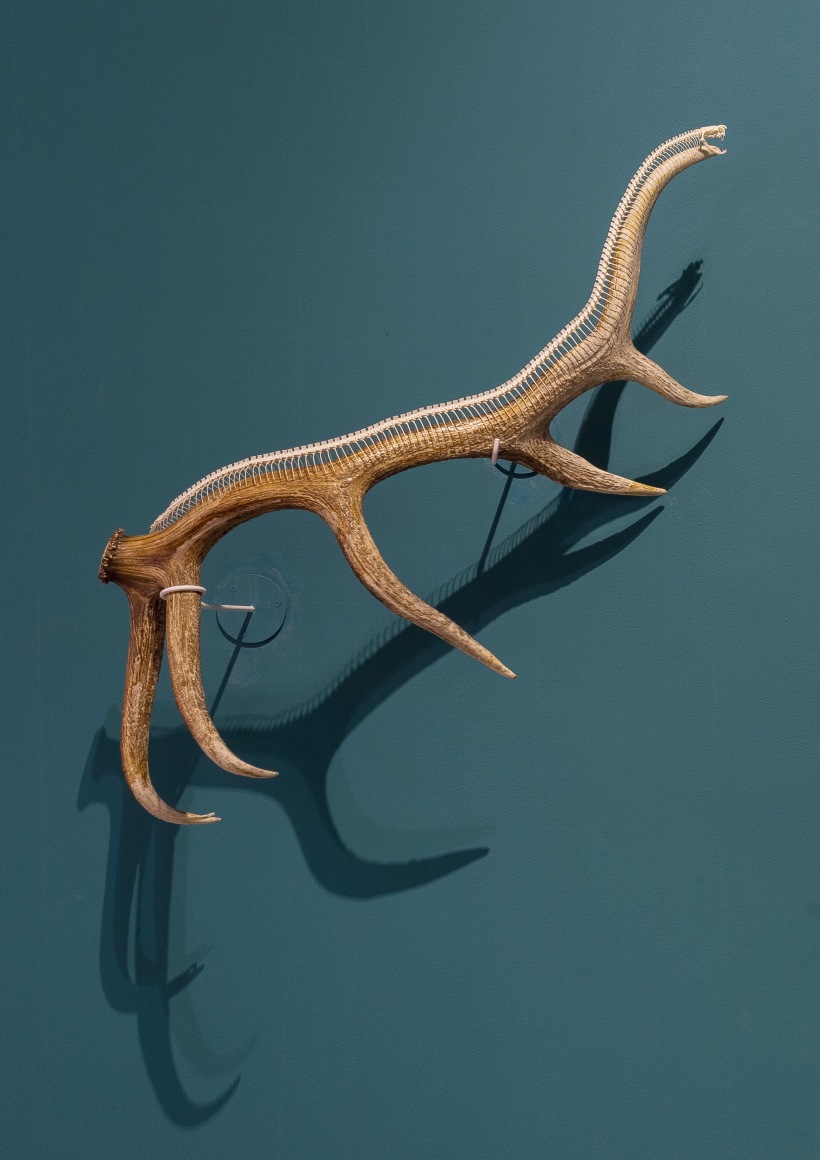 Dinosaur #1恐龙 #1, 2016