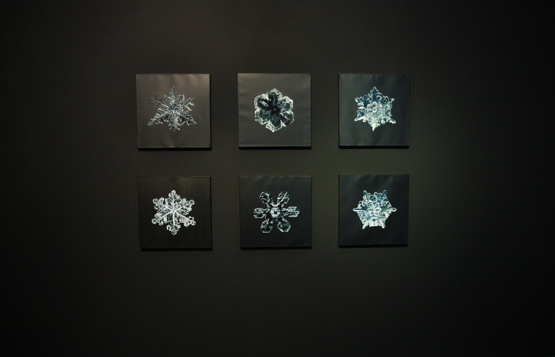 Guo Hongwei:Painting is Collecting IIIInstallation view