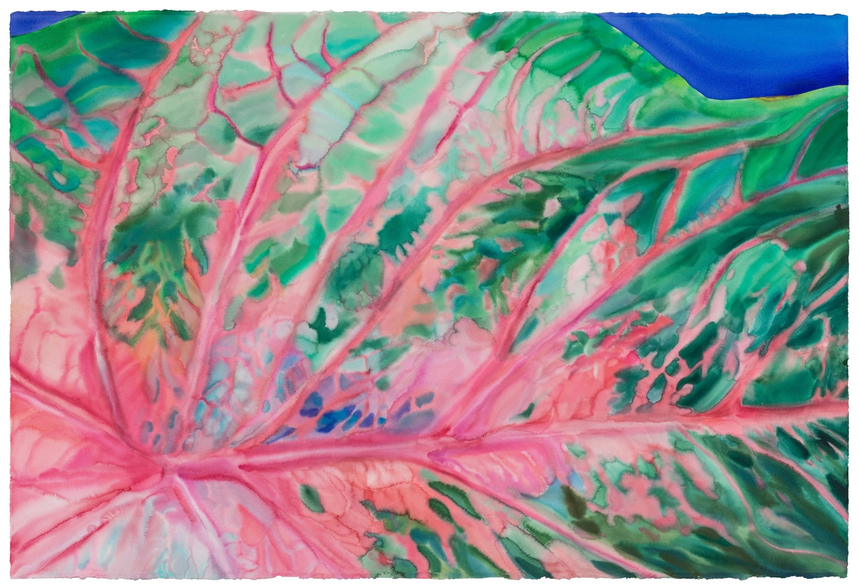 The Landscape of Natural Form No.3 自然形式的风景 No.3
