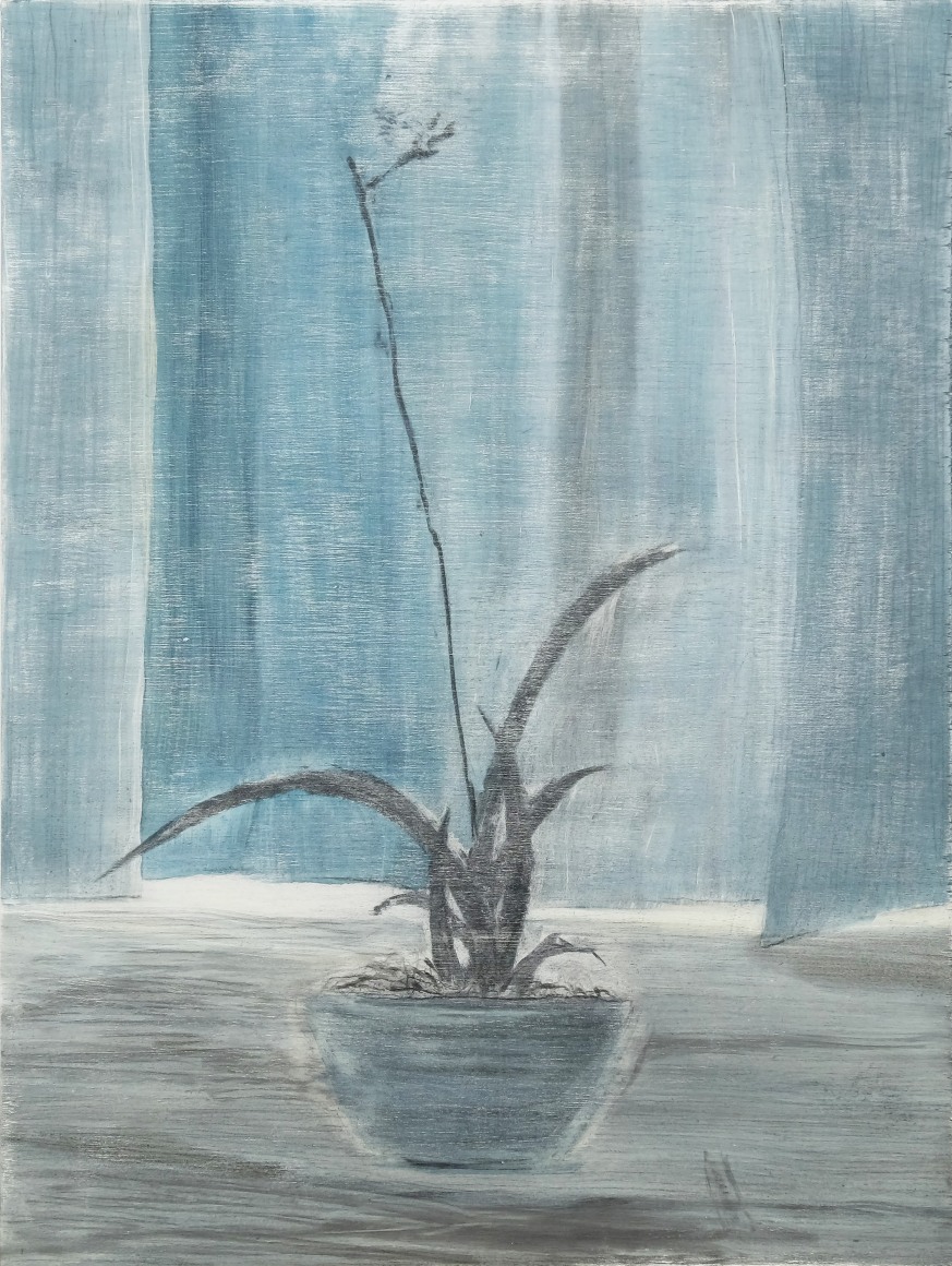 Meaningless No.1 花花草草(一), 2017