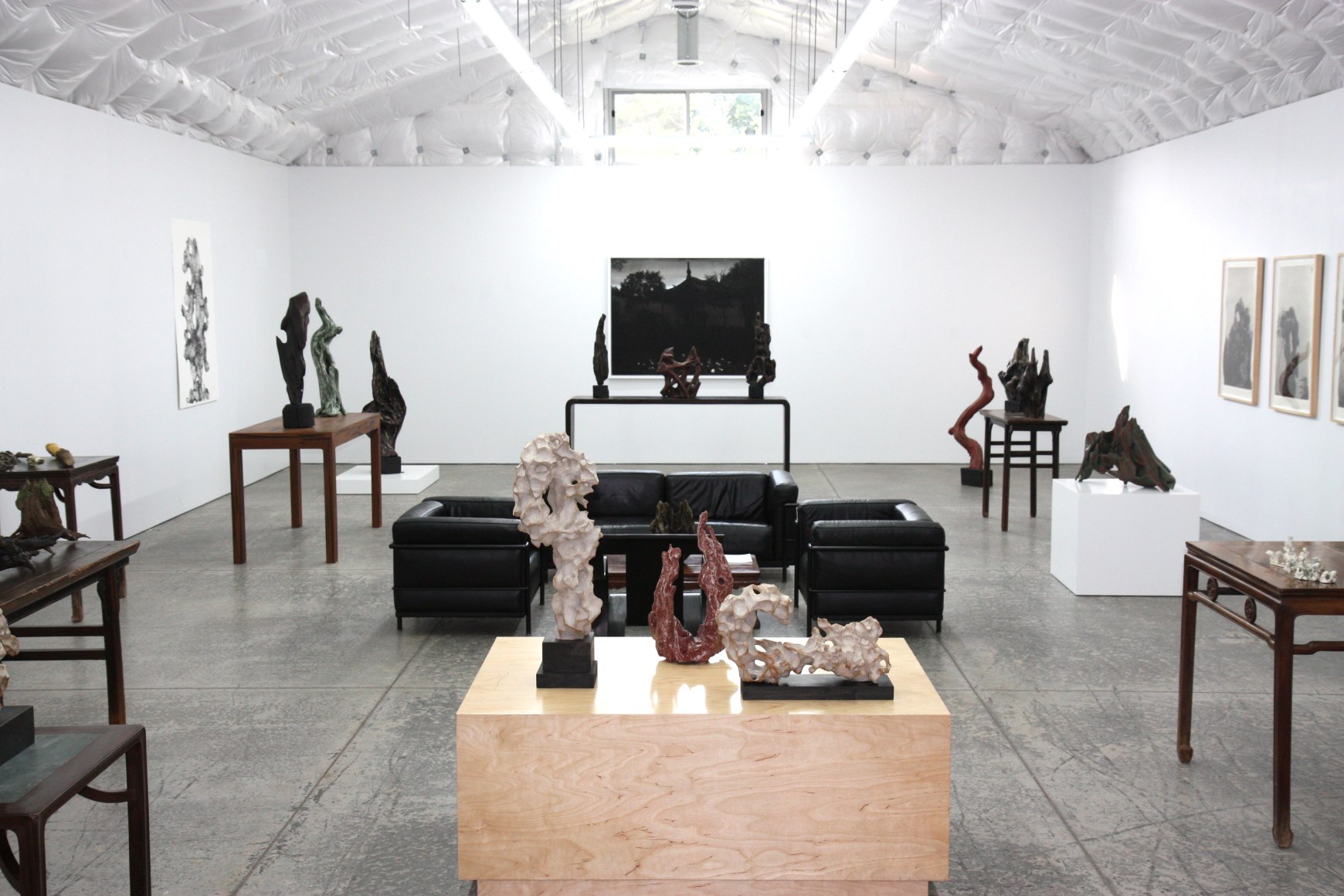 Installation view