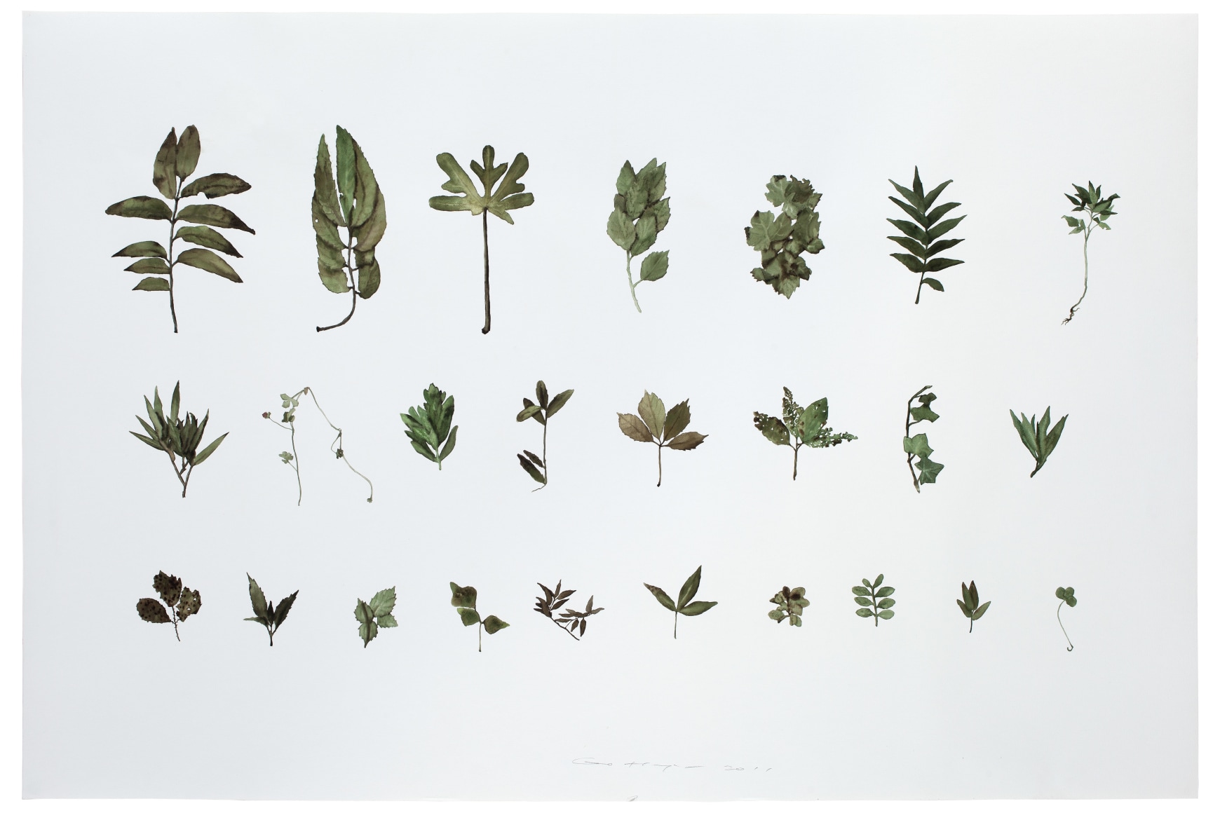 Plant No. 7&nbsp;木7&nbsp;, 2011