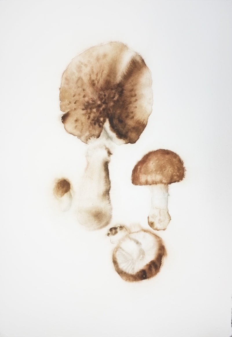 The Copier No. 1 临摹者 1, 2012 