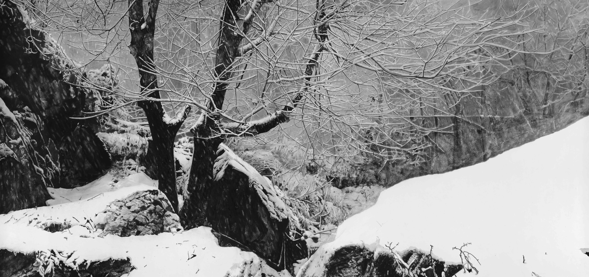 Spring Snow in Secluded Valley 幽谷春雪
