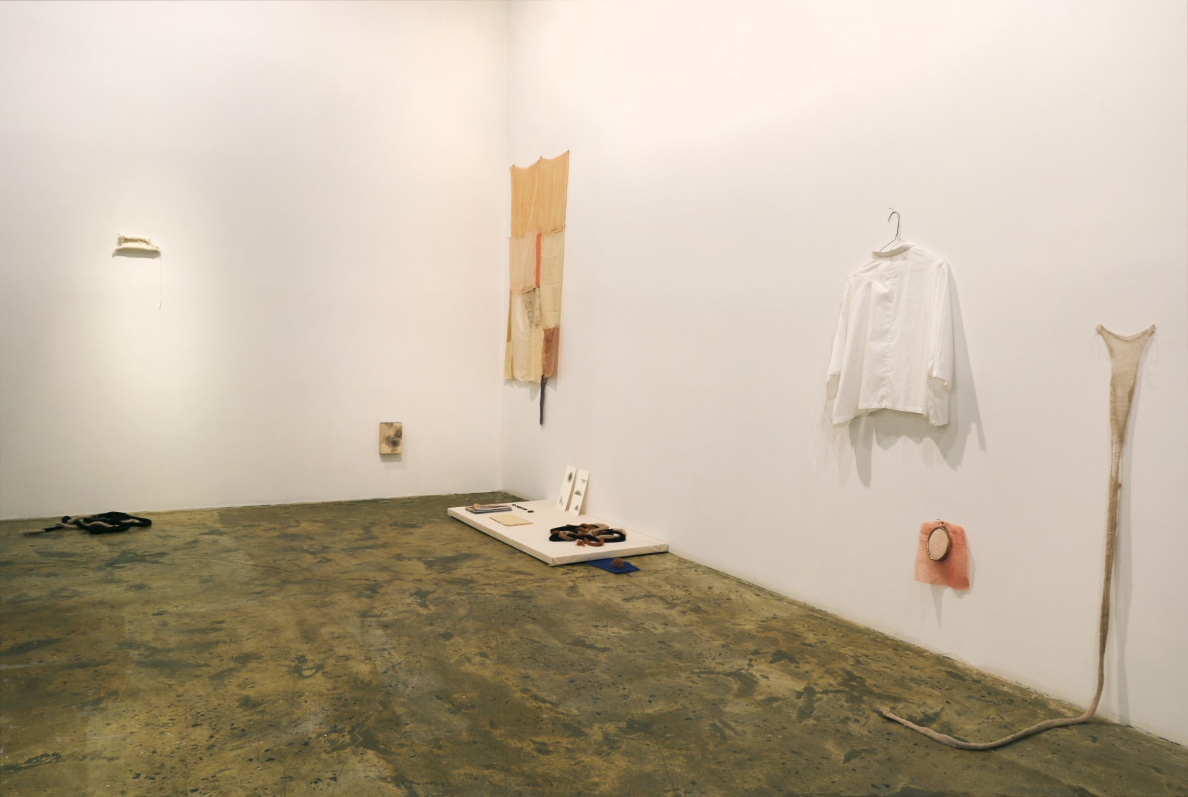 Roadside Picnic - The Zone​Installation view
