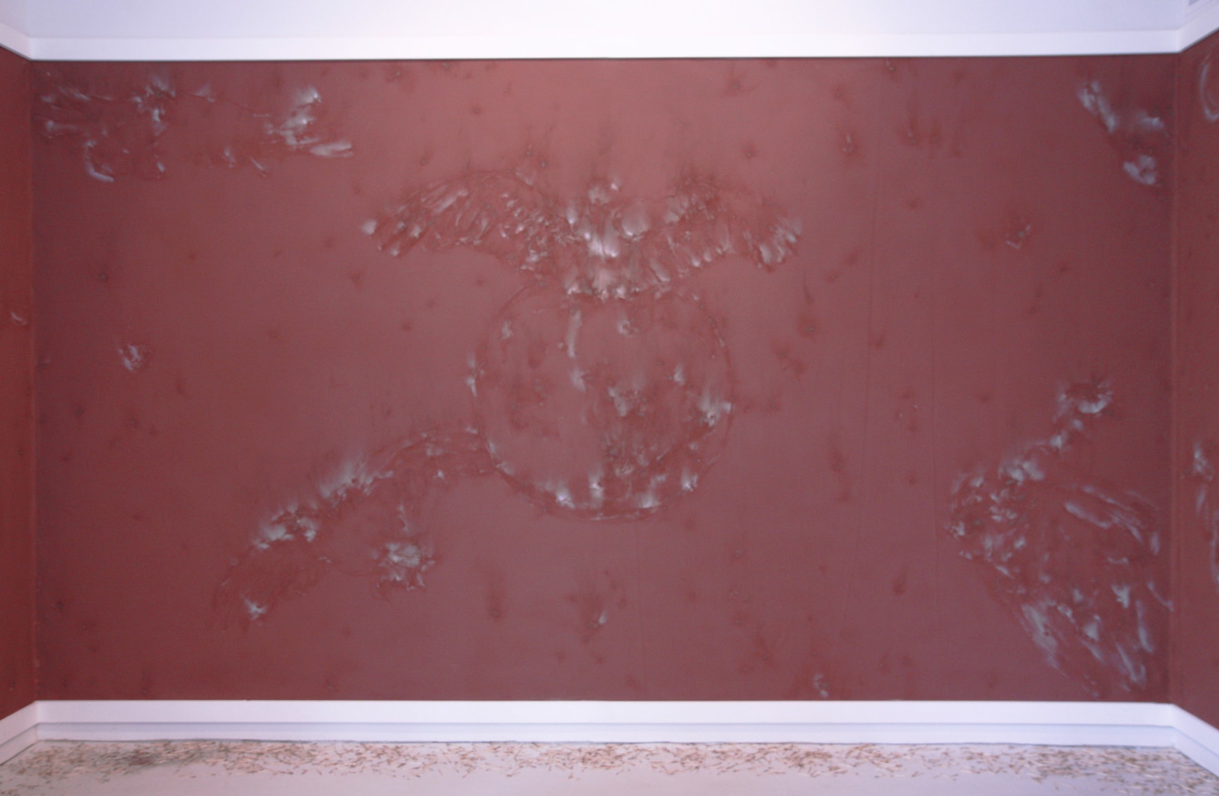 Phosphorous Red: , Installation view