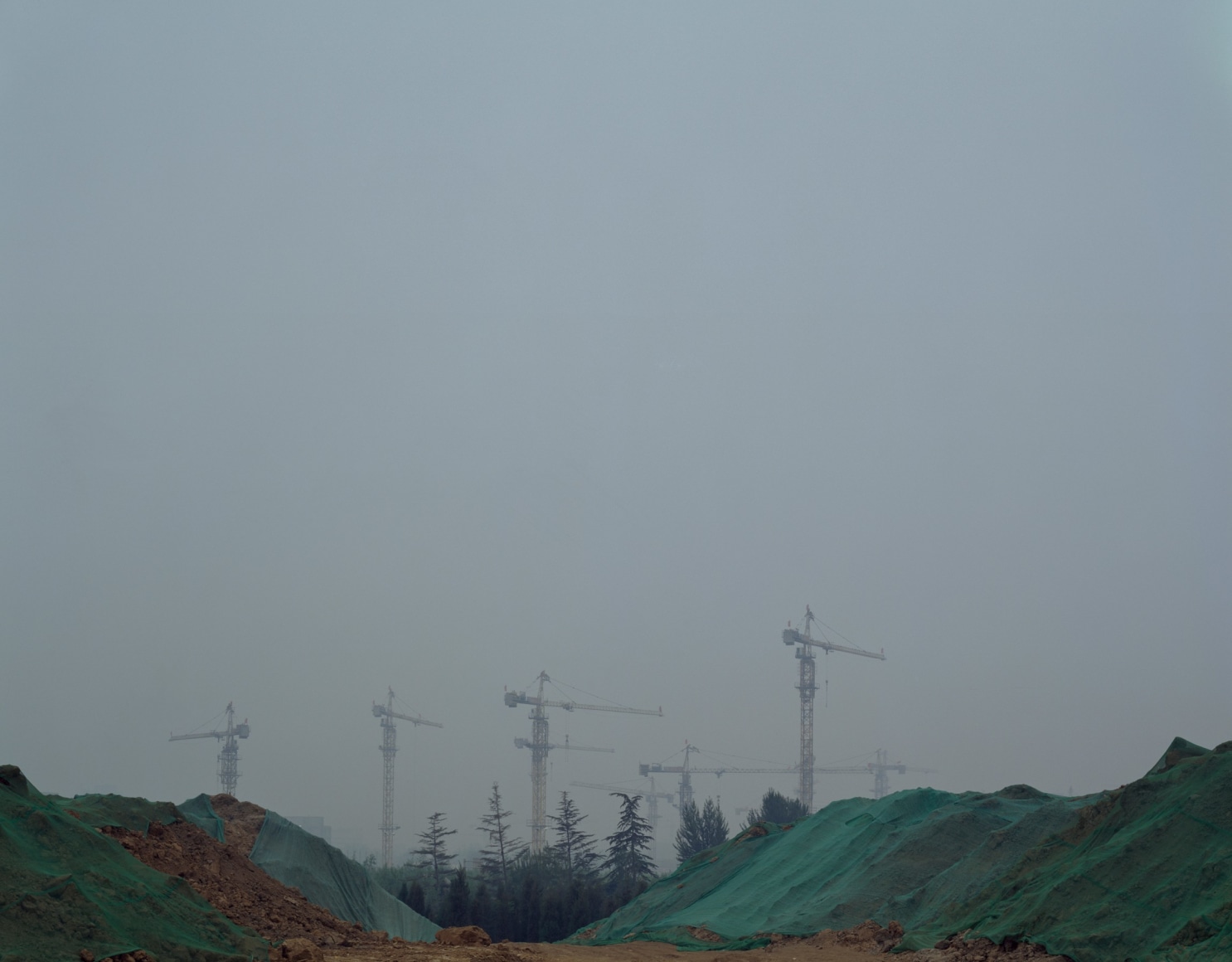 Zhao Liang 赵亮, Beijing Green No.5 北京绿地之五