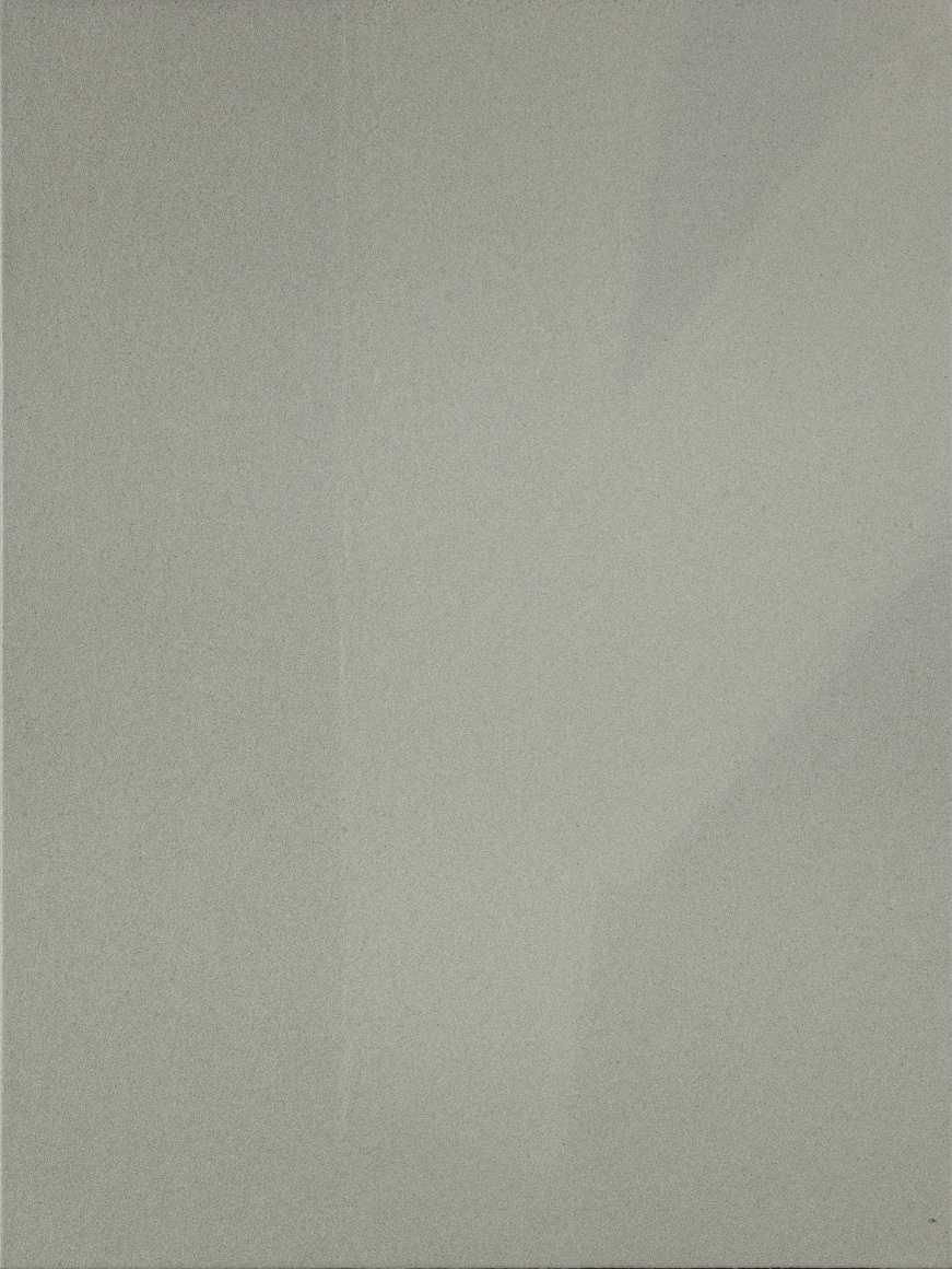 Surplus 盈 2015