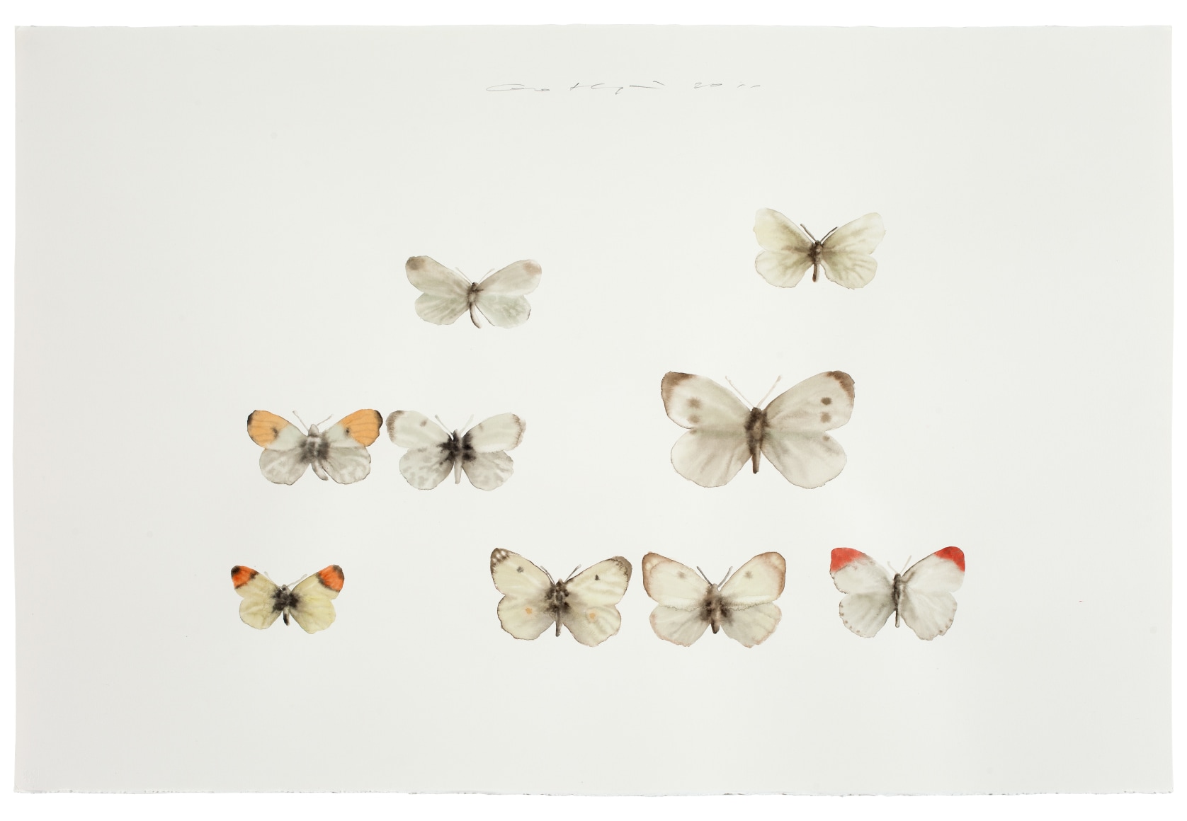 Insect No. 2&nbsp;虫2&nbsp;, 2011