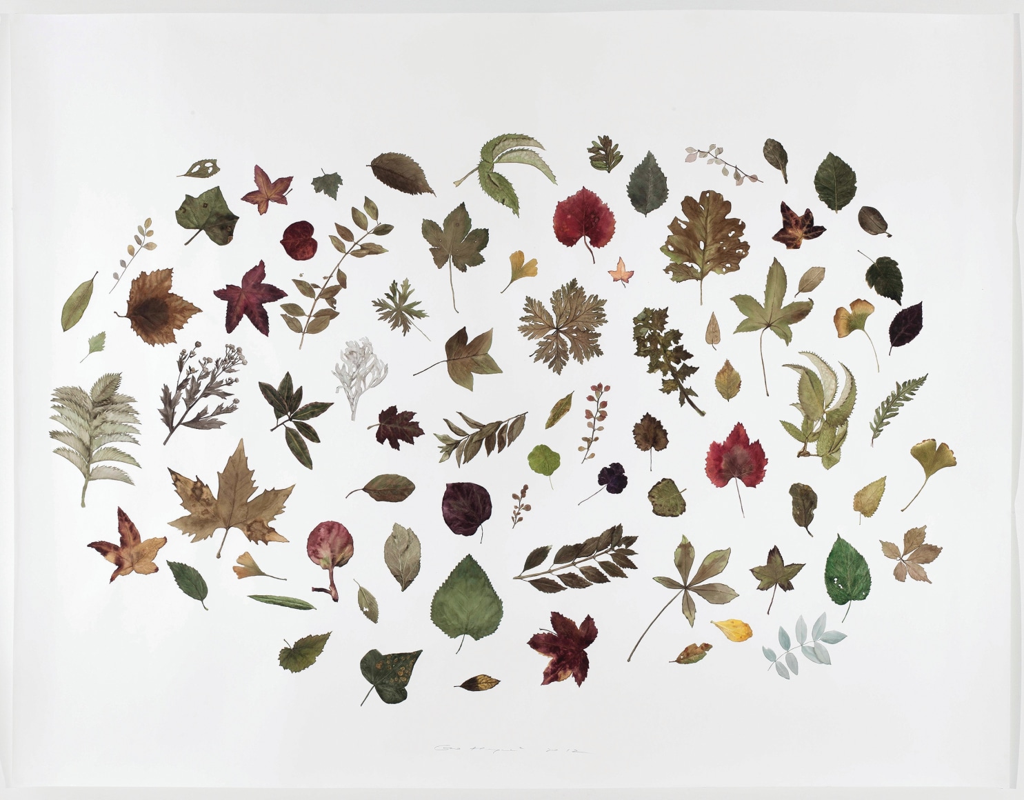 Plant No. 12 木12, 2012