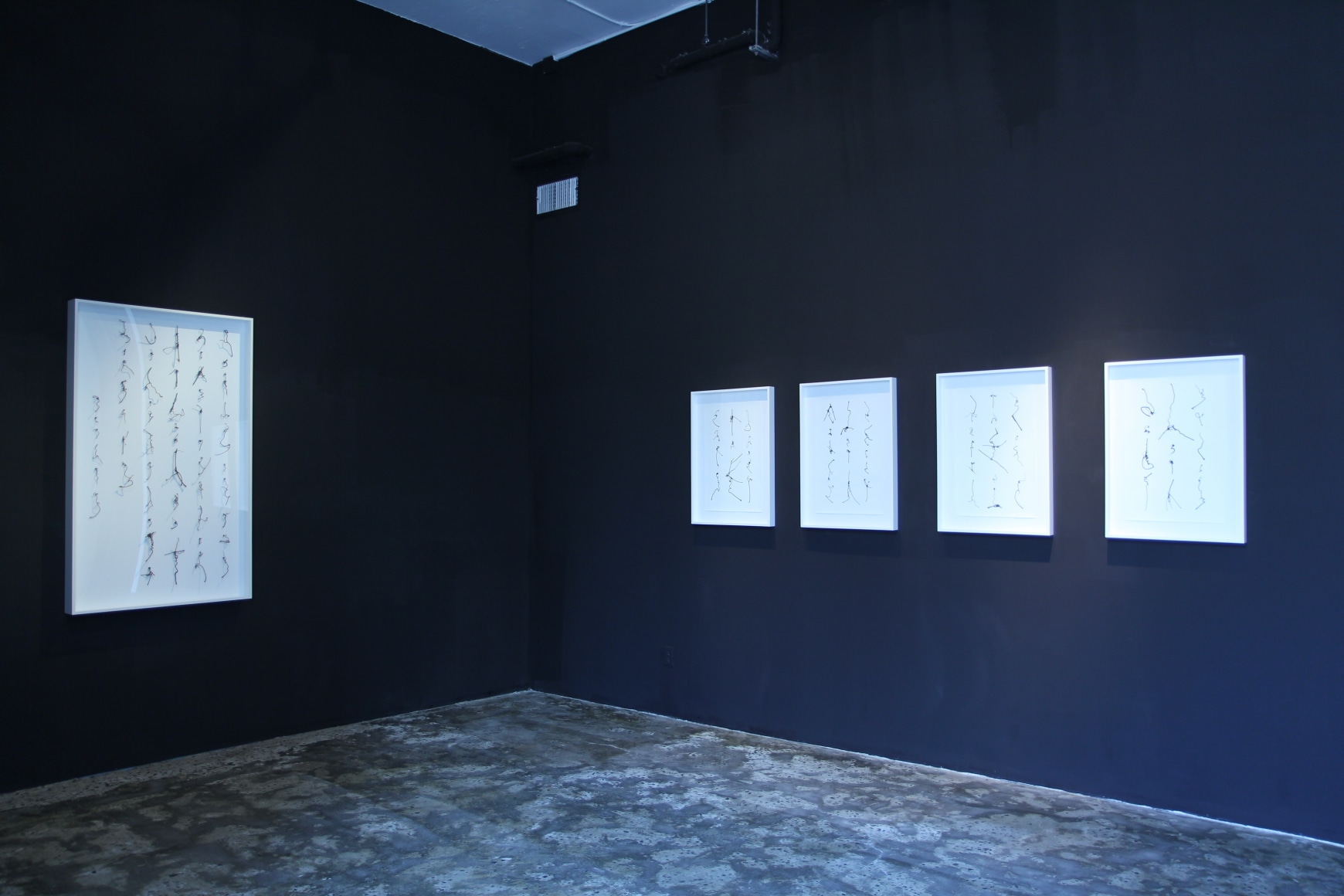 Cui Fei: Tracing the OriginInstallation view