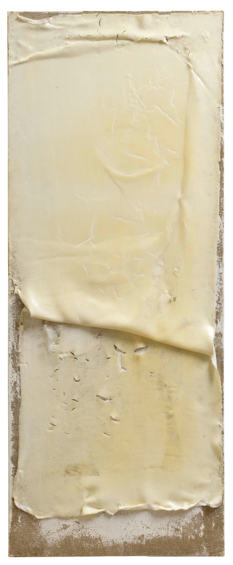 Cataract No.7 白内障 No.7