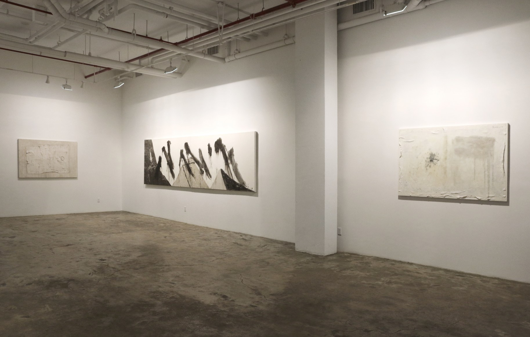 Shang Yang: New Works