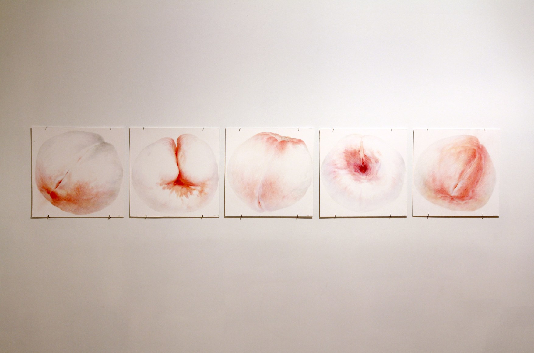 New WorksInstallation view
