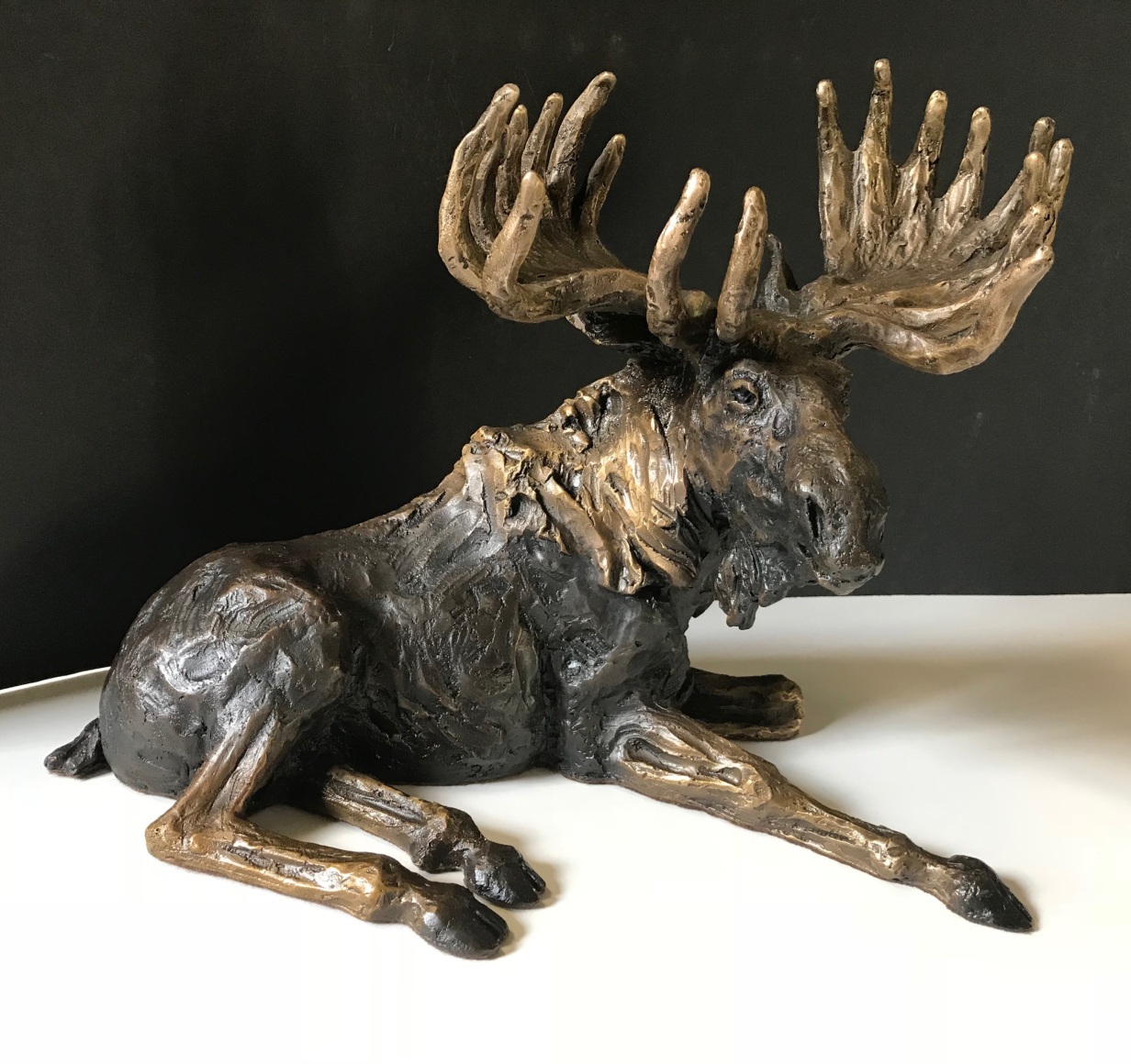Fish Creek Moose