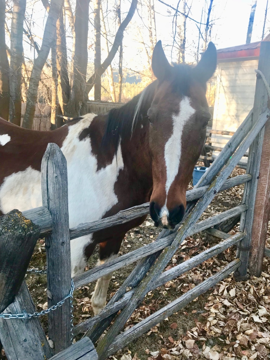 painted Cowboy Chandelier