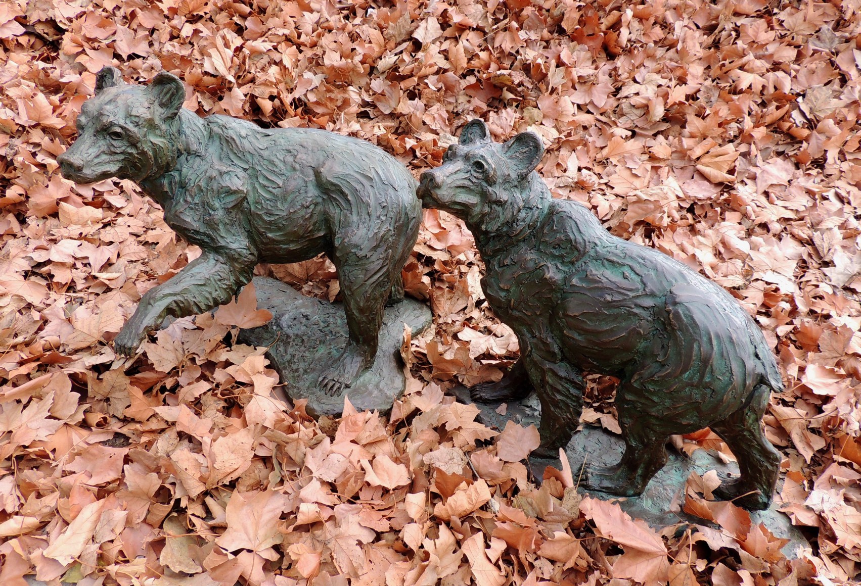 Two Grizzly 399 Cubs